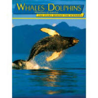 WHALES & DOLPHINS--shorelines of America: the story behind the scenery. 